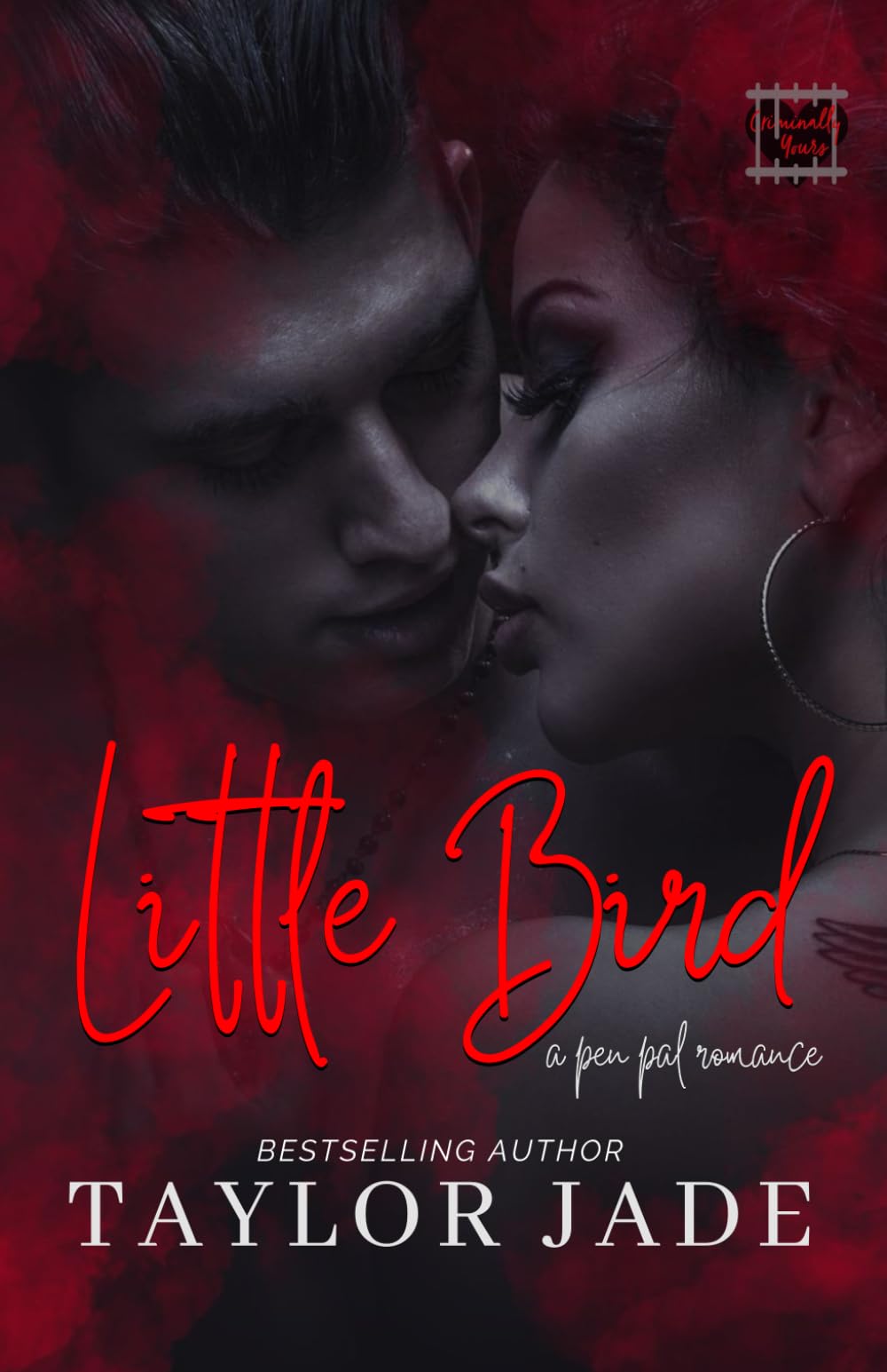 Little Bird: Criminally Yours - 8993