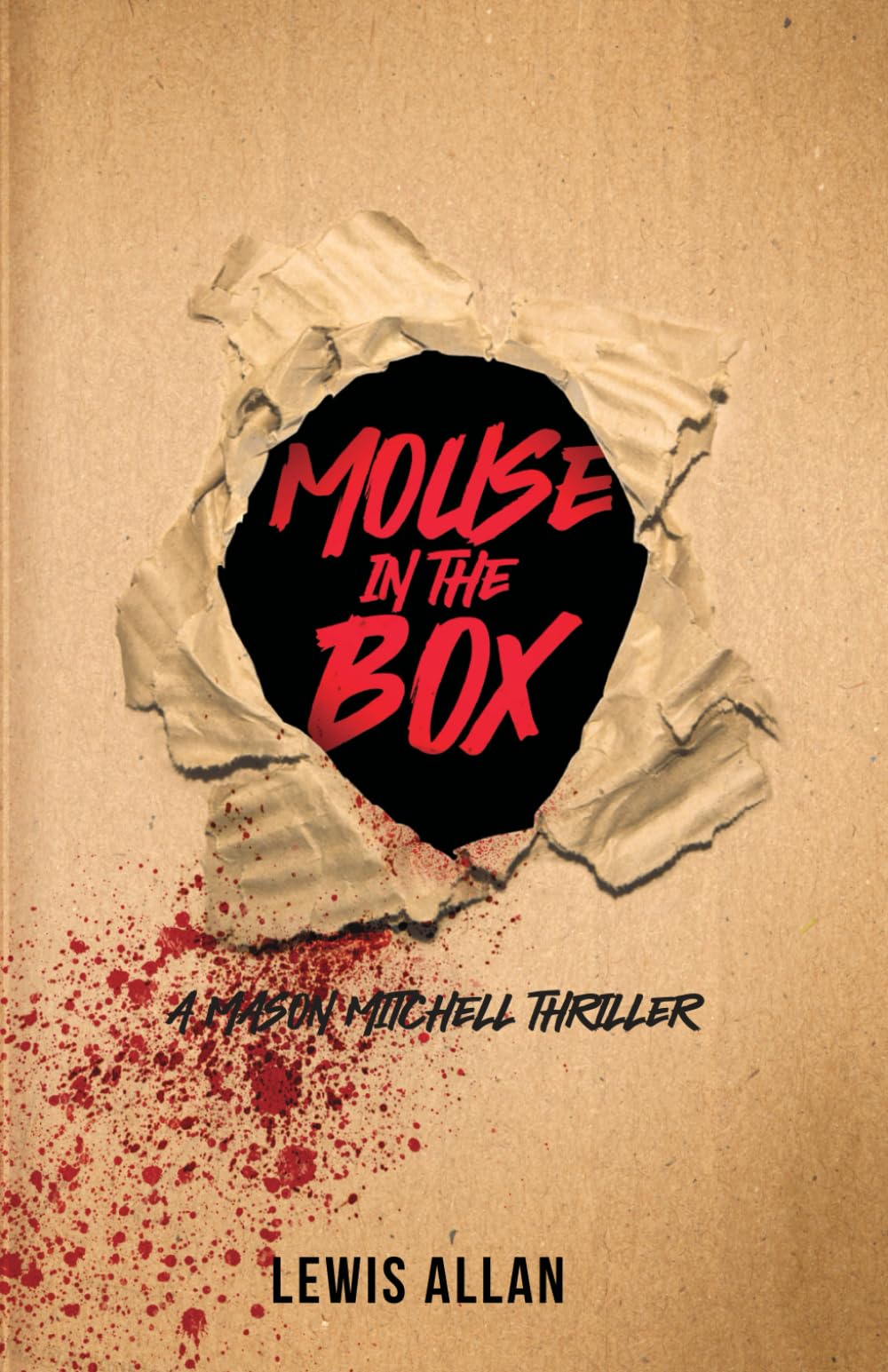 Mouse In The Box