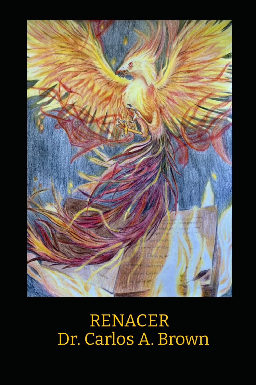 Renacer (Spanish Edition)