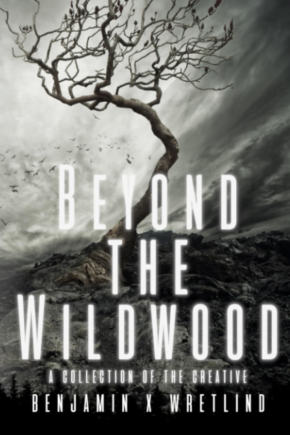 Beyond the Wildwood: A Collection of the Creative - 8880