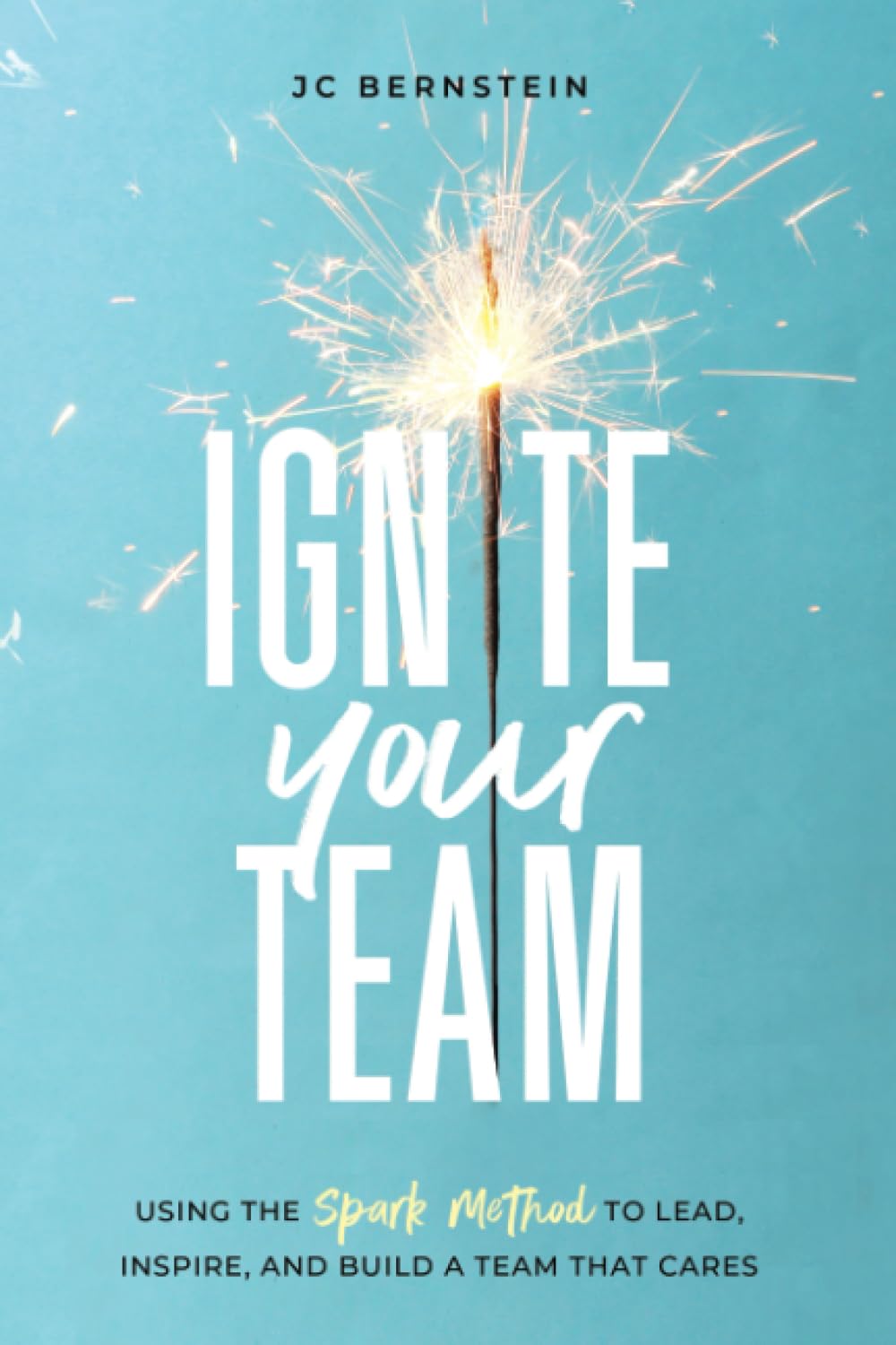 Ignite Your Team: Using the SPARK Method to Lead, Inspire, and Build a Team that Cares - 3872