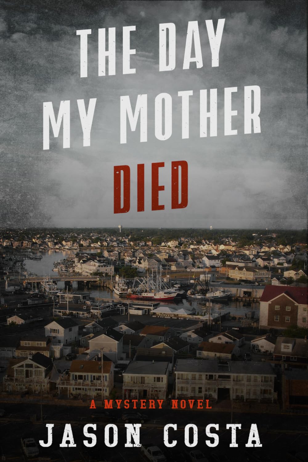 The Day My Mother Died: A Mystery Novel