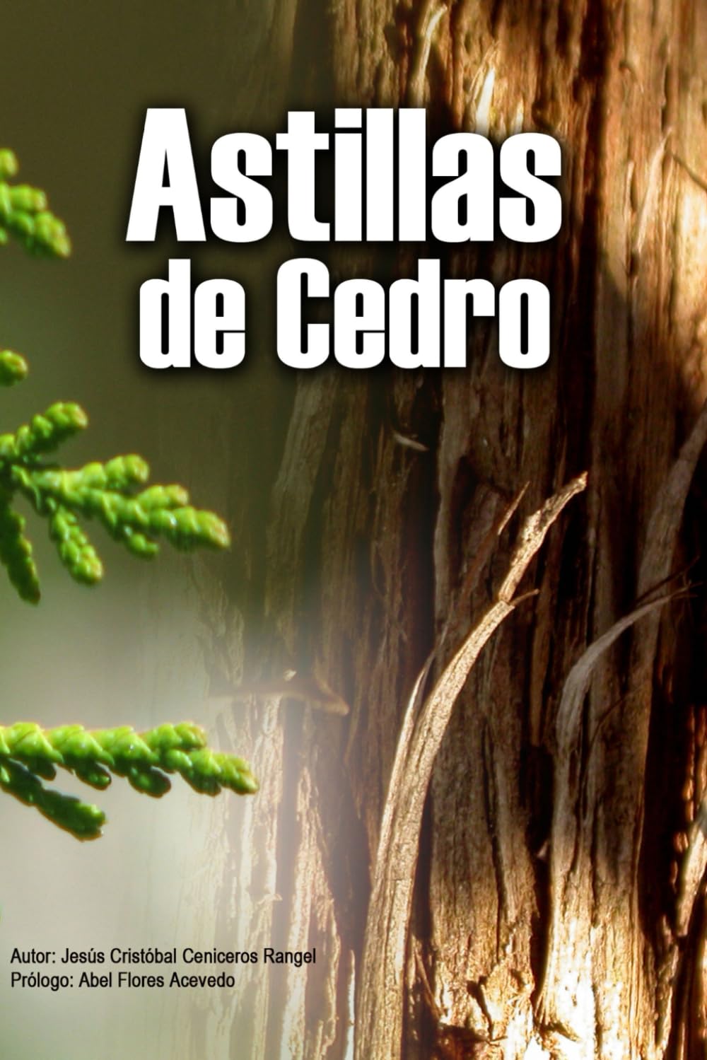 Astillas de Cedro (Spanish Edition)