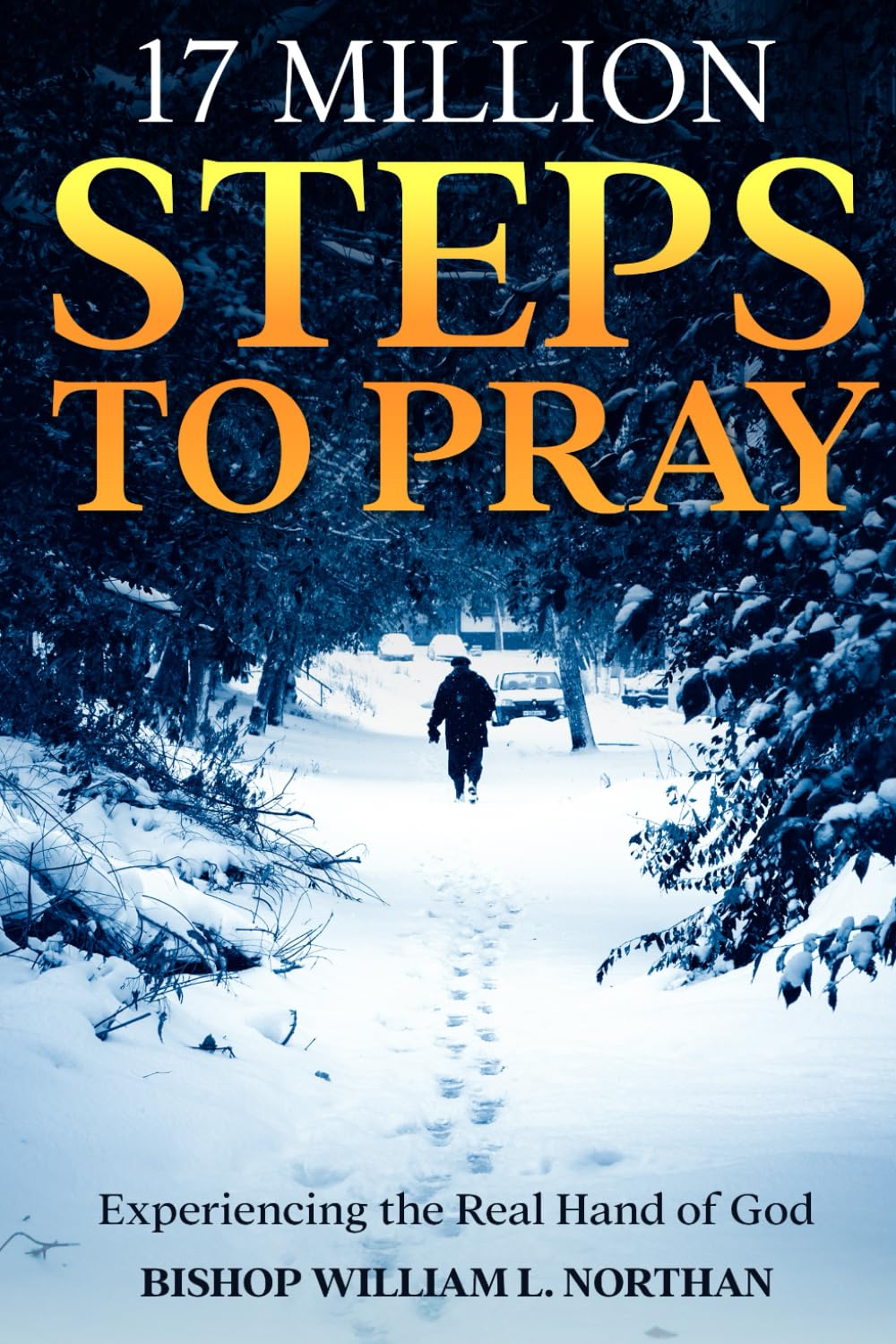 17 Million Steps to Pray