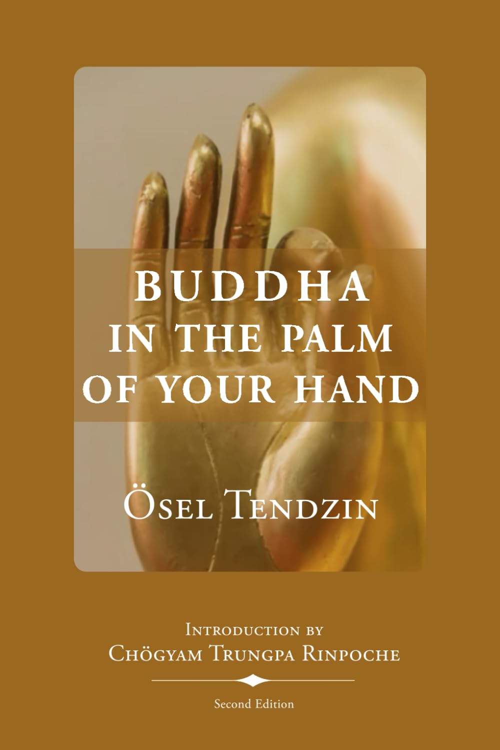Buddha in the Palm of Your Hand - 3598