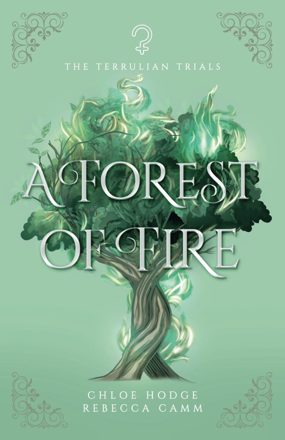 A Forest of Fire (The Terrulian Trials) - 3220