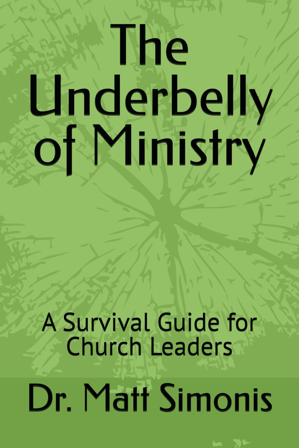 The Underbelly of Ministry: A Survival Guide for Church Leaders