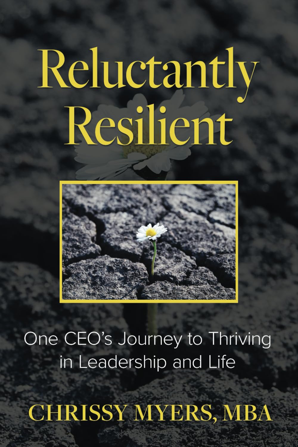 Reluctantly Resilient: One CEO's Journey to Thriving in Leadership and Life