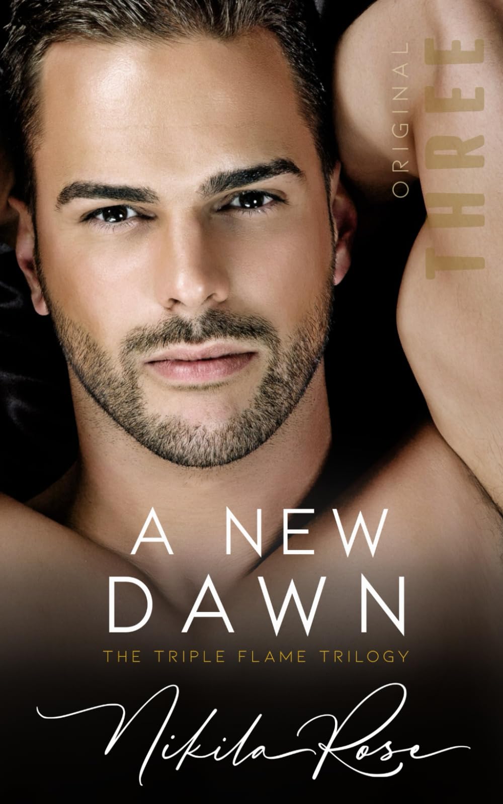 A New Dawn: Book 3 The Triple Flame Trilogy (Original Ending)