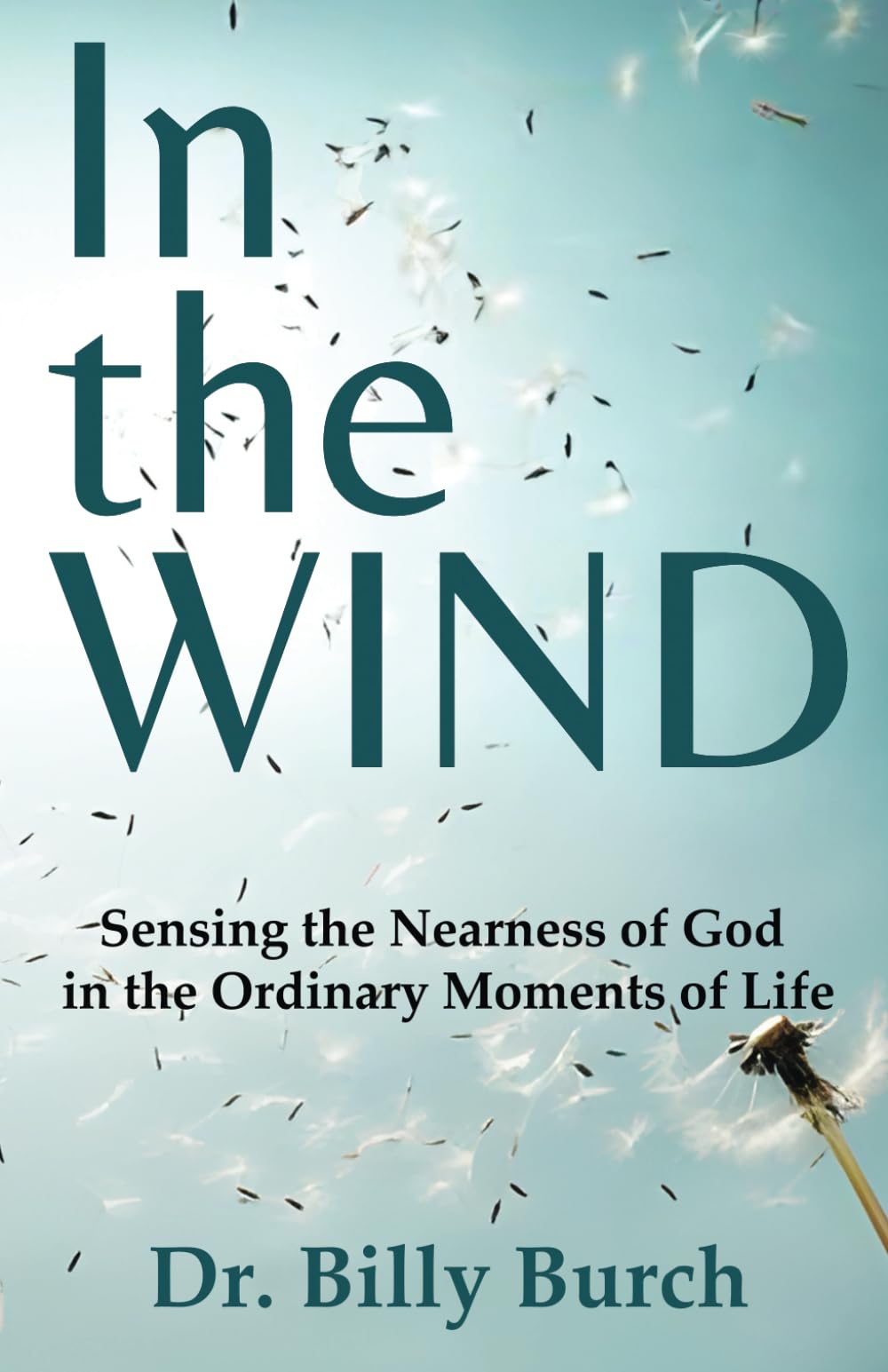 In the Wind: Sensing the Nearness of God in the Ordinary Moments of Life (Sensing God Series)
