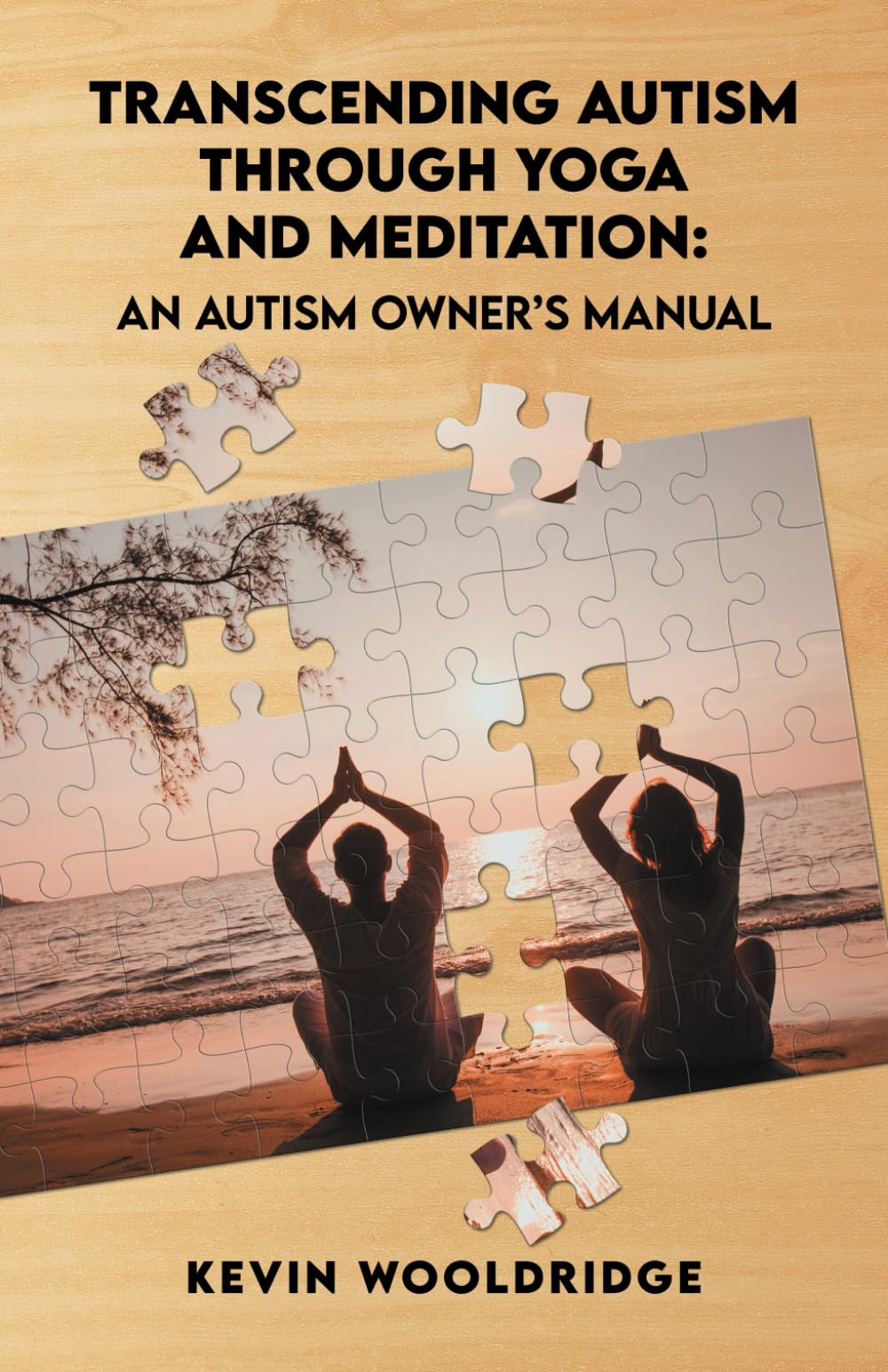 Transcending Autism Through Yoga and Meditation: An Autism Owner’s Manual