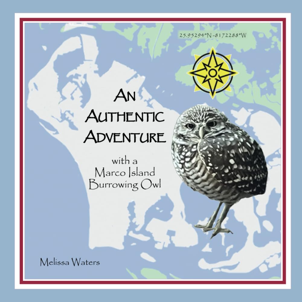 An Authentic Adventure with a Marco Island Burrowing Owl