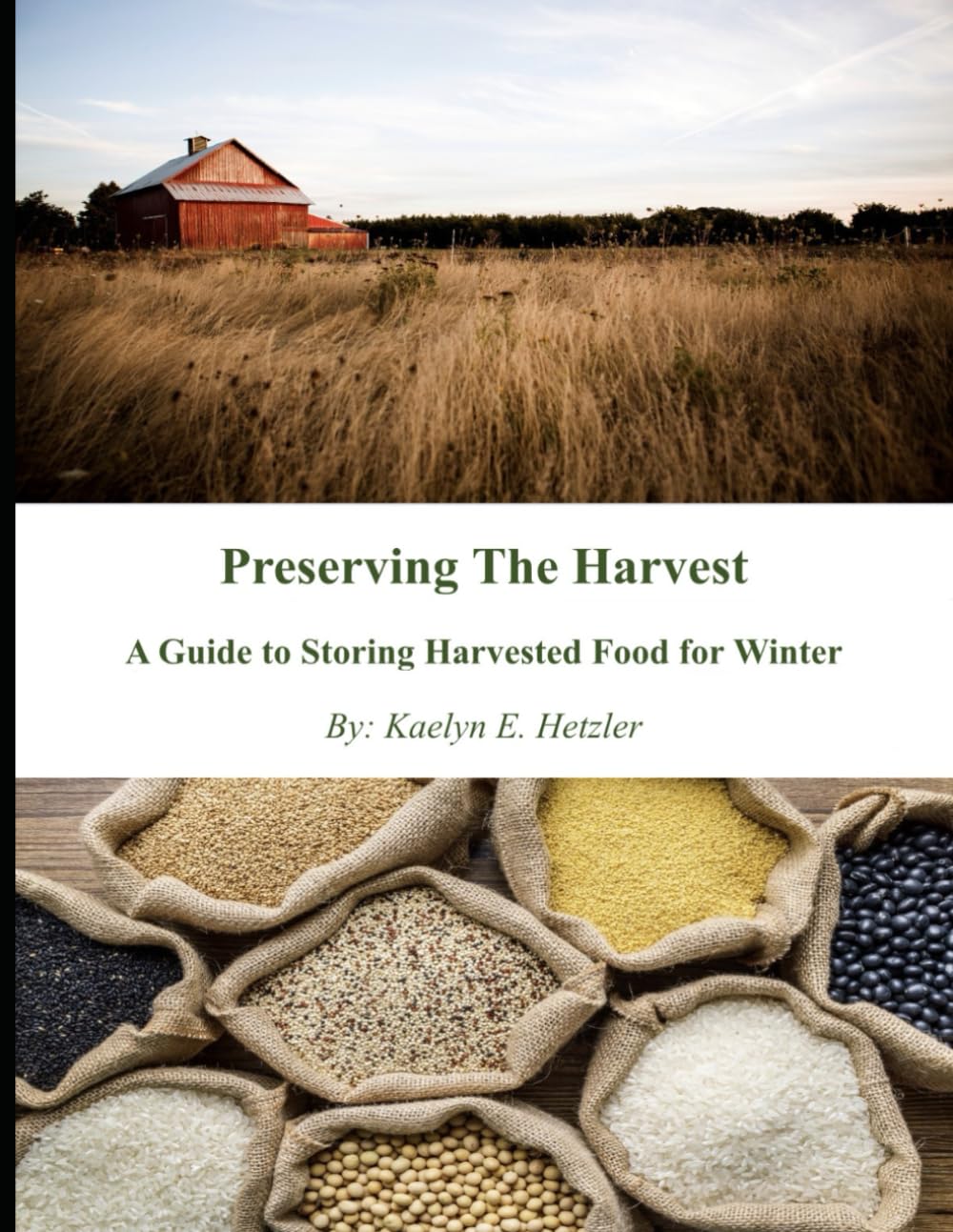 Preserving The Harvest: A Guide to Storing Harvested Food for Winter