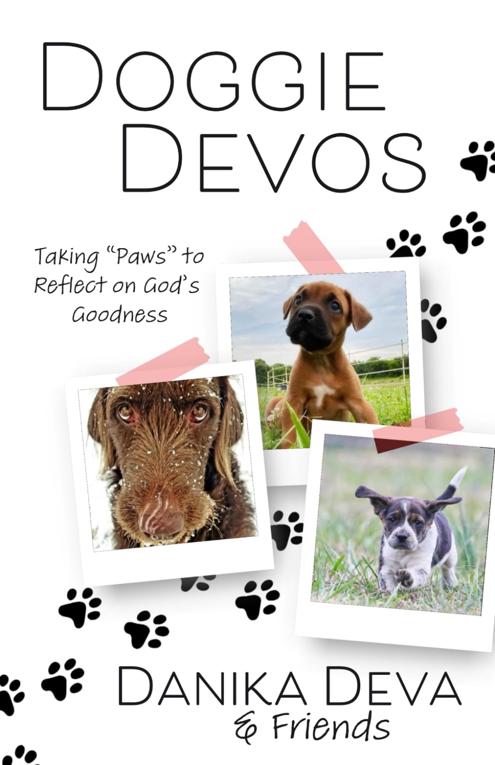 Doggie Devos: Taking "Paws" to Reflect on God's Goodness - 2611