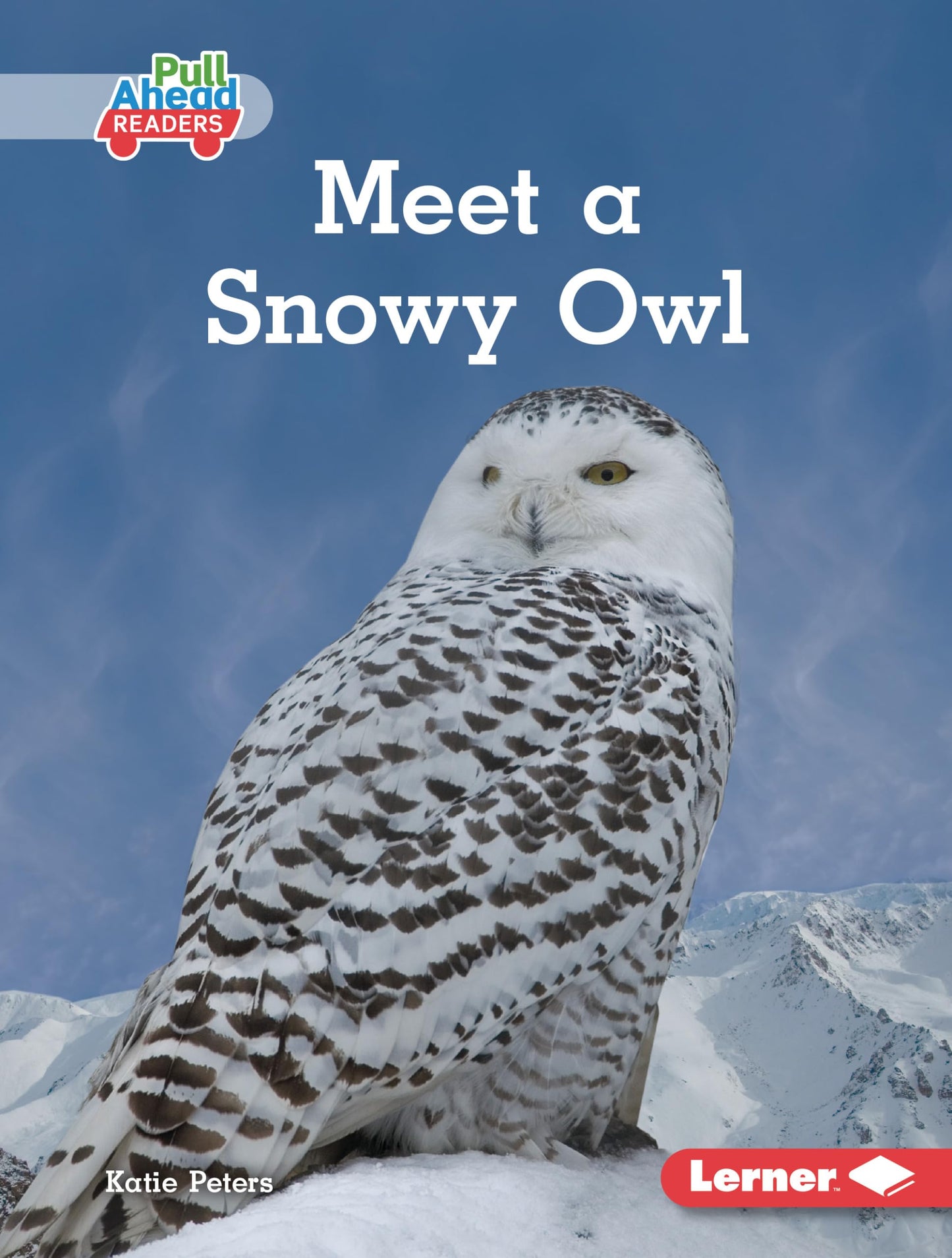 Meet a Snowy Owl (Let's Look at Polar Animals (Pull Ahead Readers ― Nonfiction))