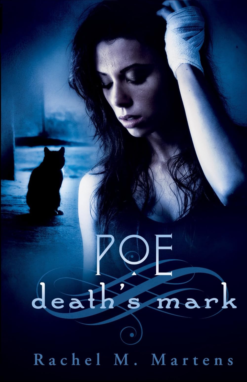 Poe: Death's Mark (The Poe Series)