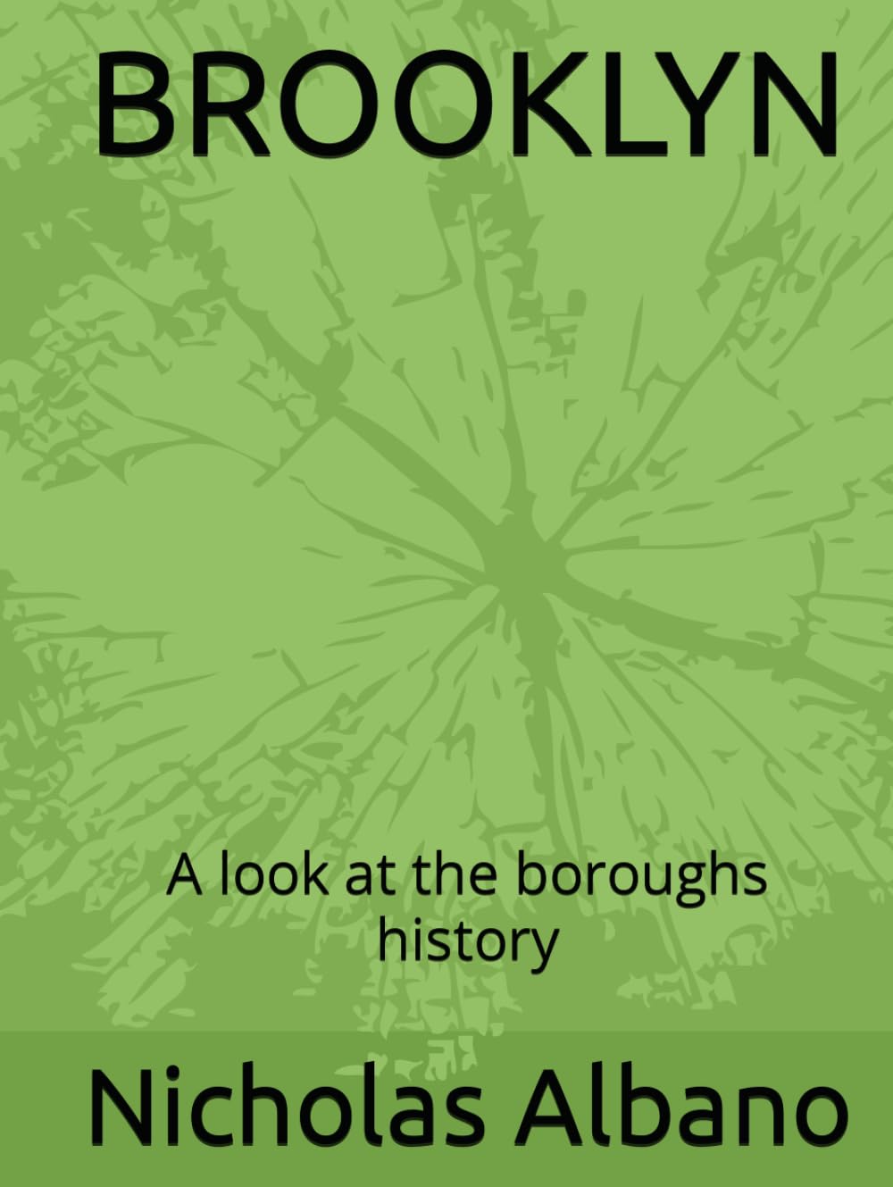 BROOKLYN: A look at the boroughs history