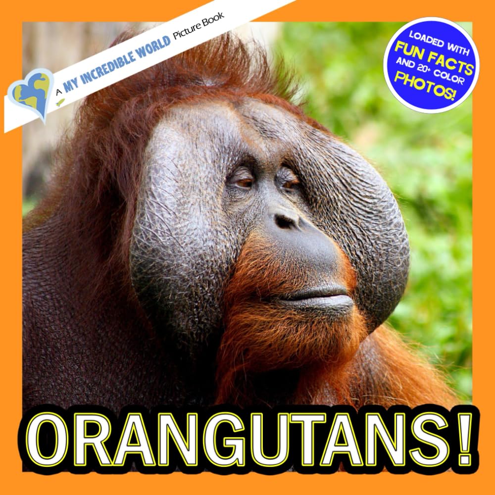 Orangutans!: A My Incredible World Picture Book for Children (My Incredible World: Nature and Animal Picture Books for Children)