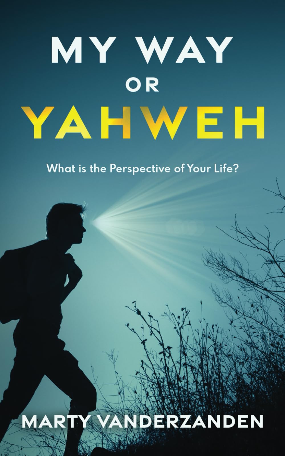 My Way or Yahweh: What is the Perspective of Your Life