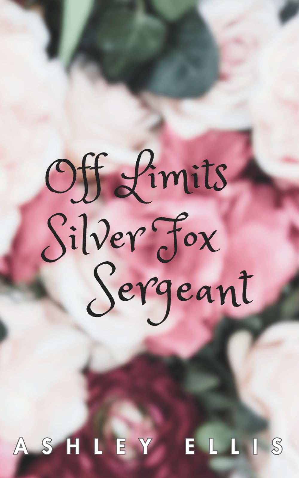 Off Limits Silver Fox Sergeant: A forced proximity, age gap, small town romance - 5701