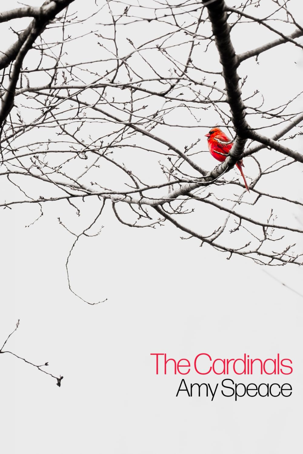 The Cardinals - 2417