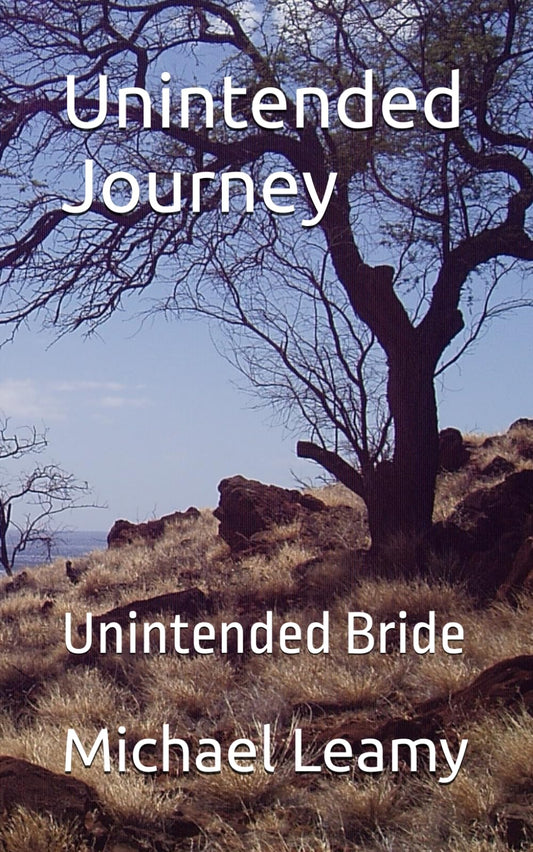 Unintended Journey: Unintended Bride