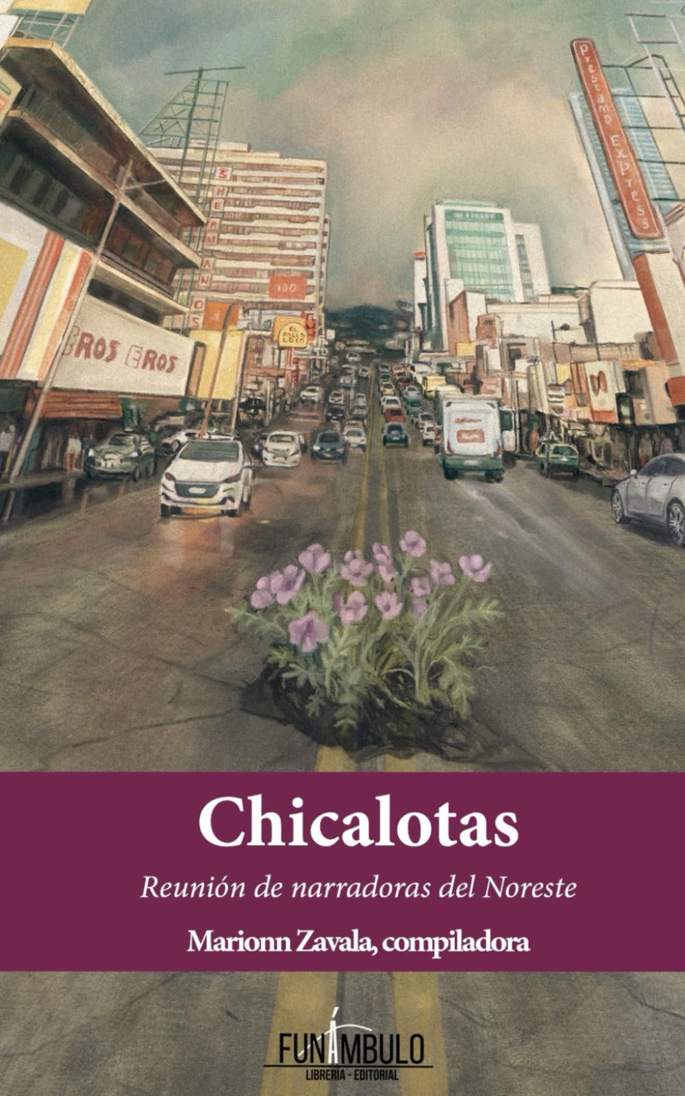 Chicalotas: Reunión de narradoras del Noreste (Spanish Edition)