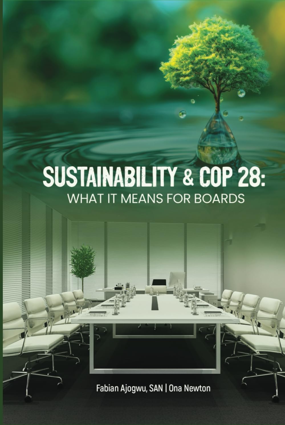 Sustainability and COP28: What it Means for Boards