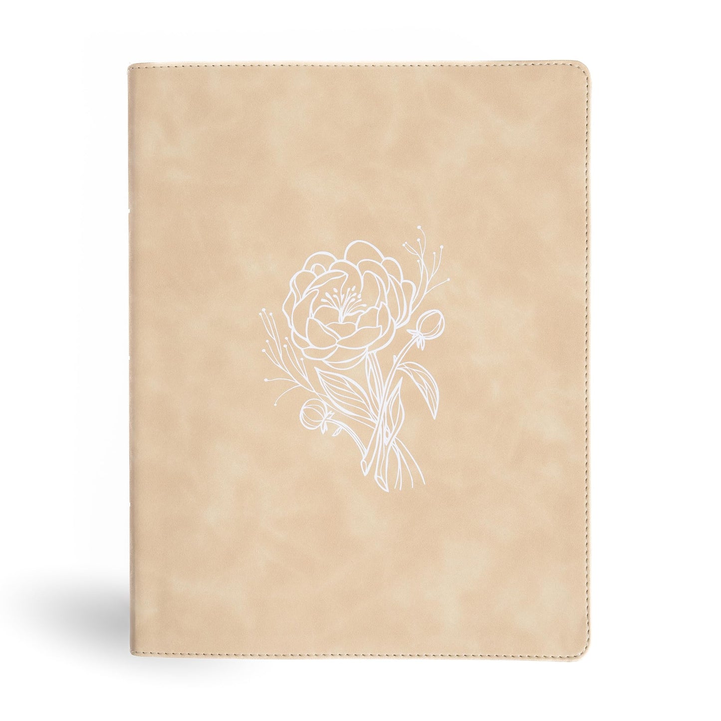 CSB Illustrator’s Notetaking Bible, Large Print Edition, Cream LeatherTouch, Black Letter, Wide Margins, Journaling Space, 600+ Line-Art Illustrations, Single-Column Text, Reading Plan