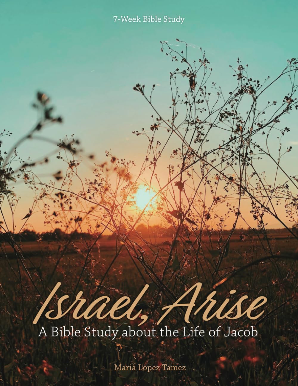 Israel, Arise: A Bible Study about the Life of Jacob