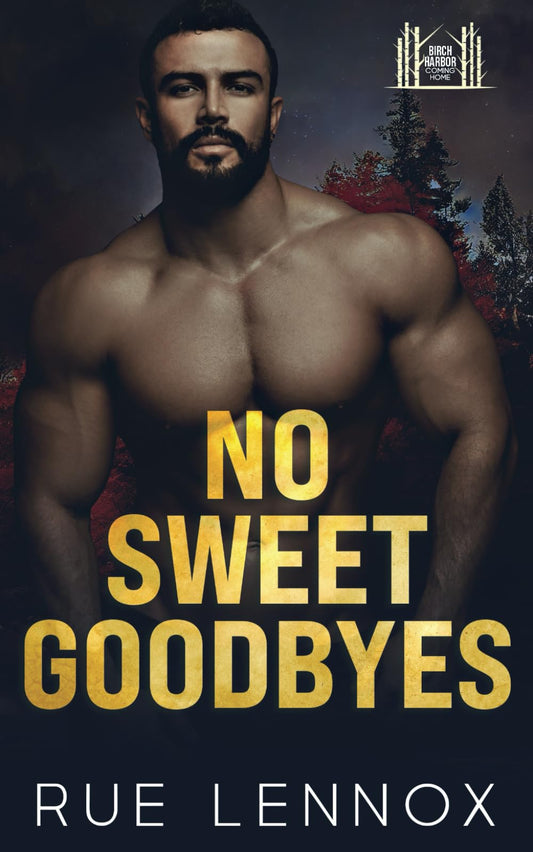 No Sweet Goodbyes (Birch Harbor: Coming Home) - 7165