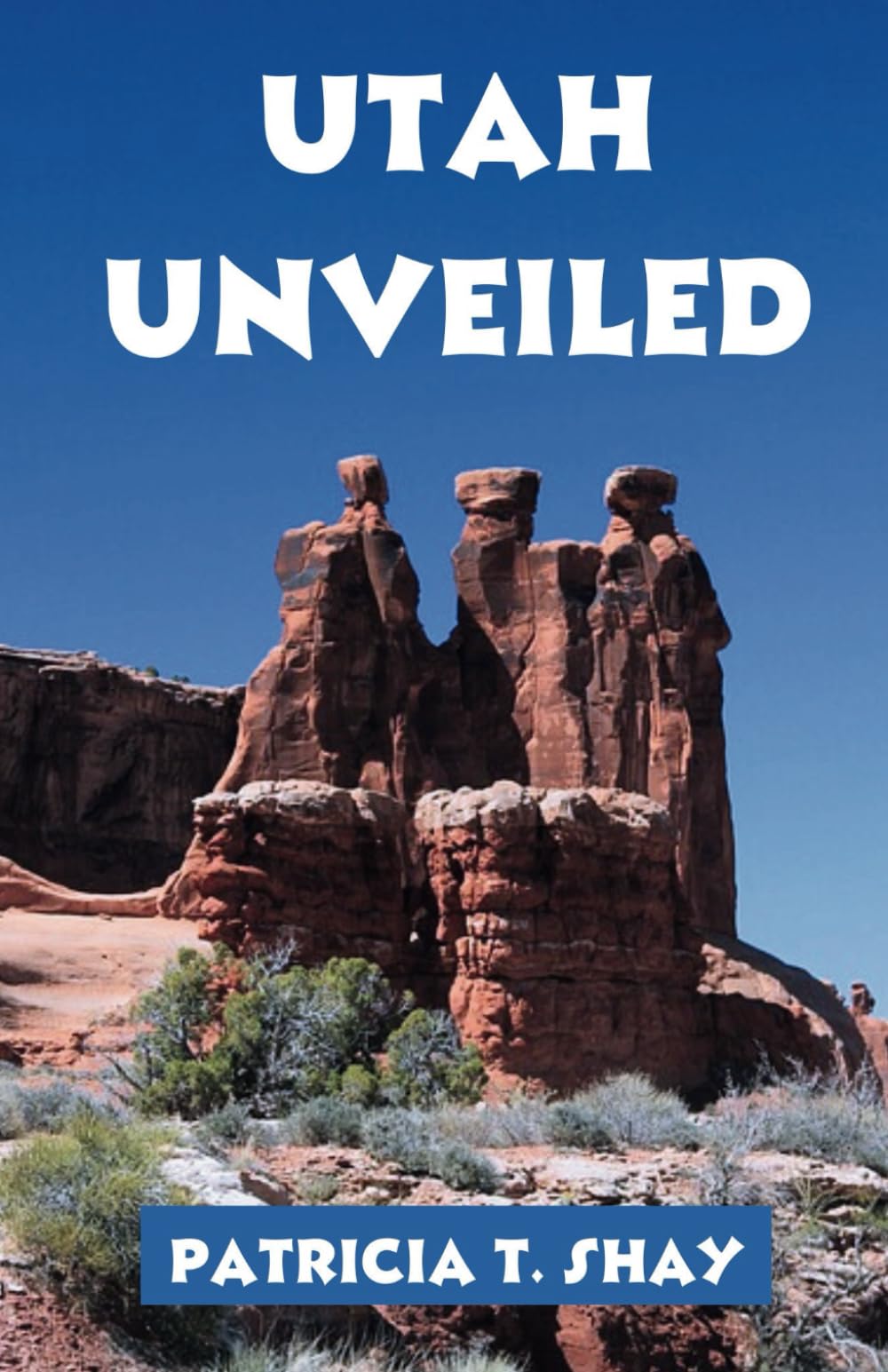 Utah Unveiled: Your Guide to Planning an Unforgettable Adventure and Scenic Trip Through the Beehive State's Natural Wonders and Cultural Treasures - 5223
