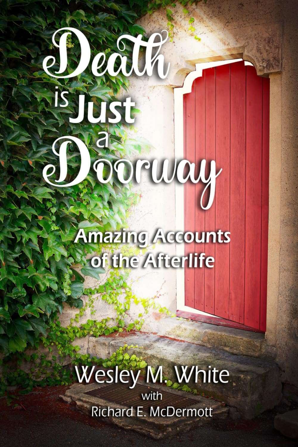 Death is Just a Doorway: Amazing Account of the Afterlife - 7450