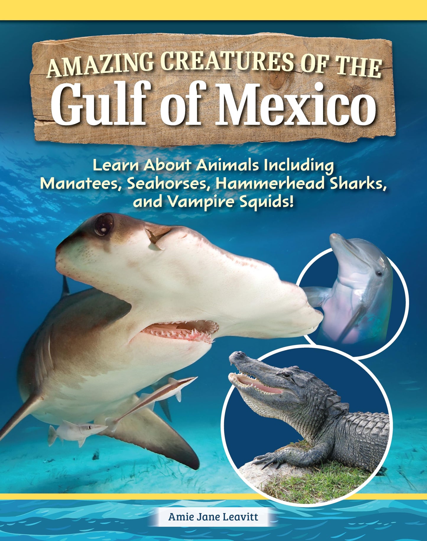 Amazing Creatures of the Gulf of Mexico: Learn About Animals Including Manatees, Seahorses, Hammerhead Sharks, and Vampire Squids! (Curious Fox Books) Ocean Animal Fun Facts for Kids Ages 4-10