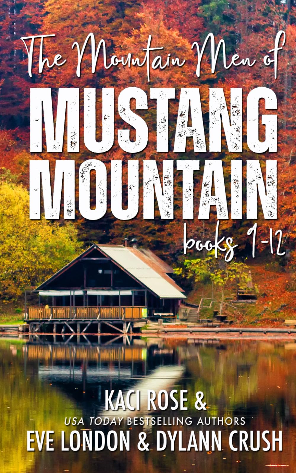 The Mountain Men of Mustang Mountain: Books 9-12 - 9163
