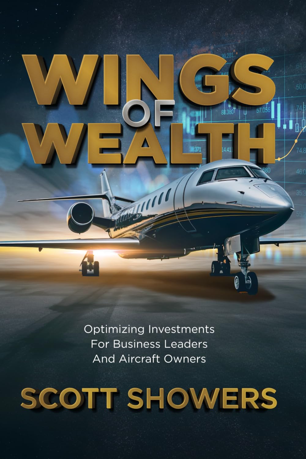 Wings of Wealth: Optimizing Investments for Business Leaders and Aircraft Owners - 2273