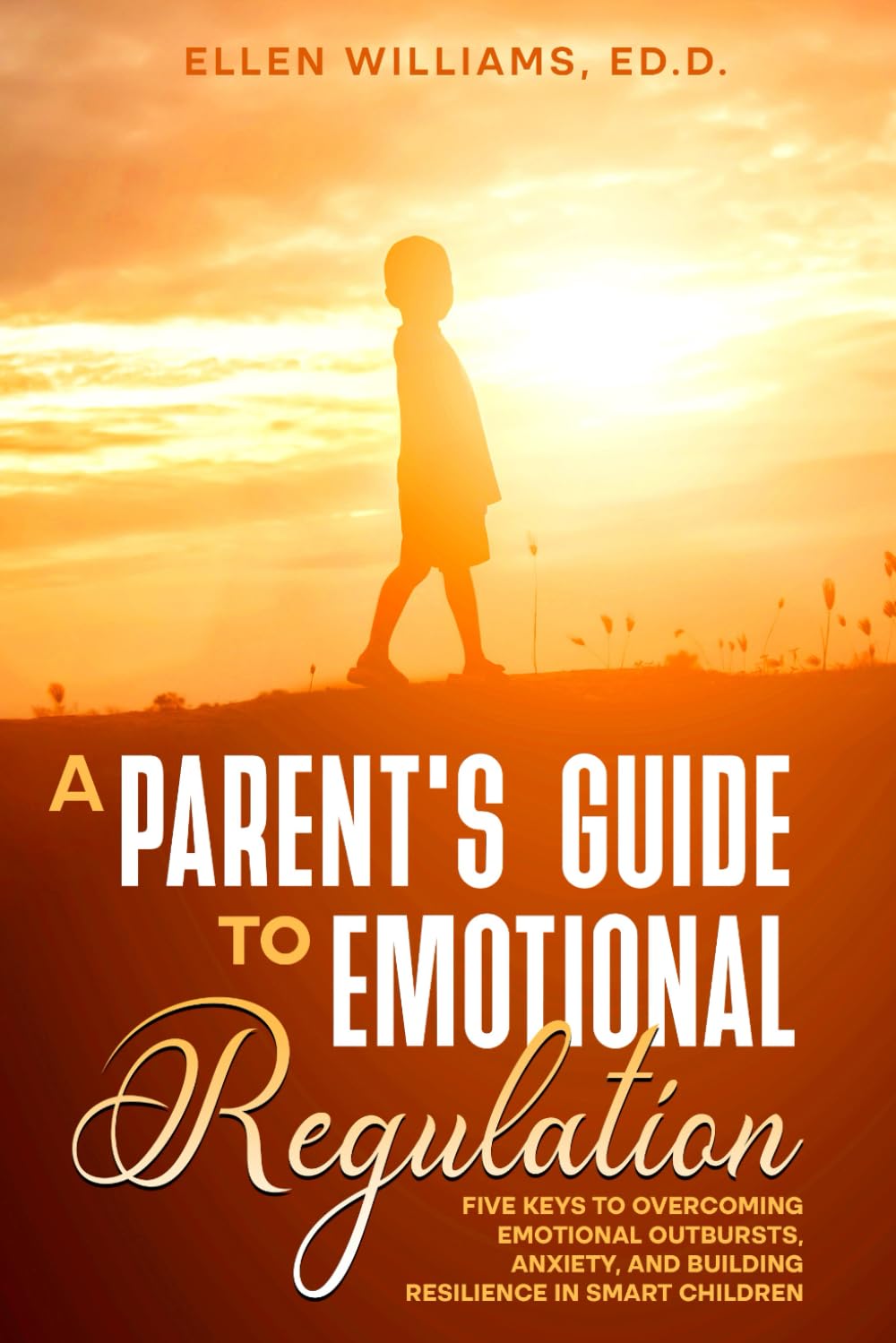 A Parent's Guide to Emotional Regulation: Five Keys to Overcoming Emotional Outbursts, Anxiety, and Building Resilience in Smart Children - 3934