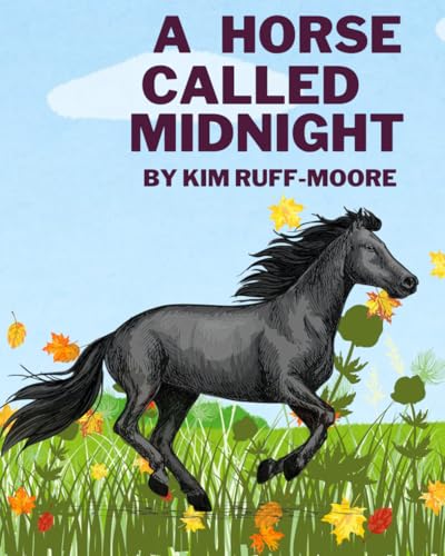 A Horse Called Midnight - 4031