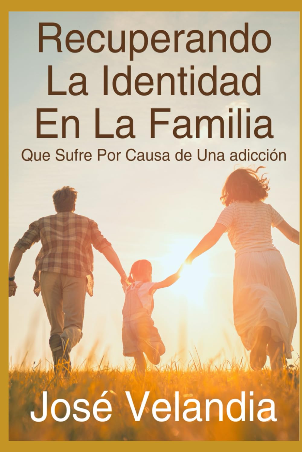 RECUPERANDO LA IDENTIDAD EN LA FAMILIA QUE SUFRE POR CAUSA DE UNA ADICCIÓN (Spanish Edition) - 2834