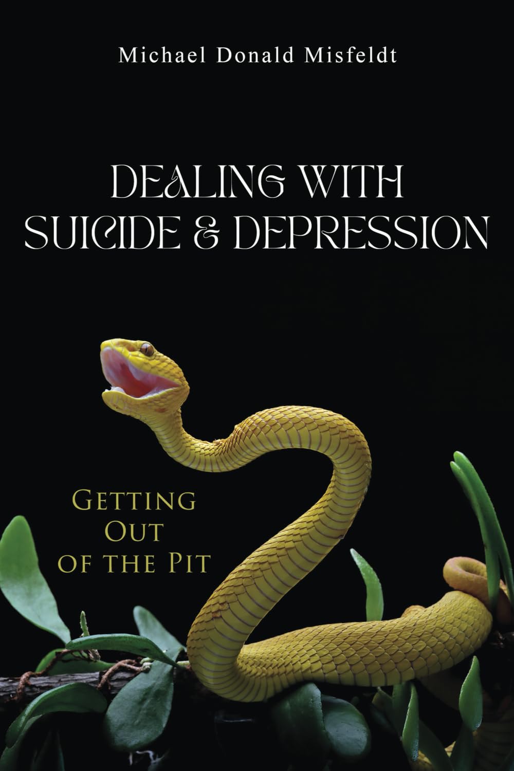 Dealing with Suicide & Depression: Getting Out of the Pit - 6196