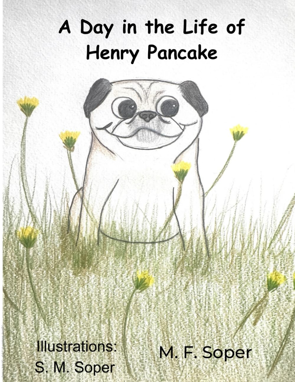 A Day in the Life of Henry Pancake - 5717
