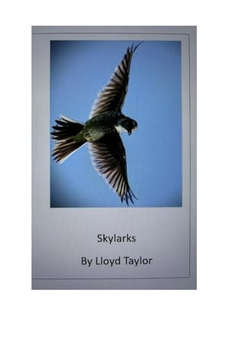 Skylarks - 6174