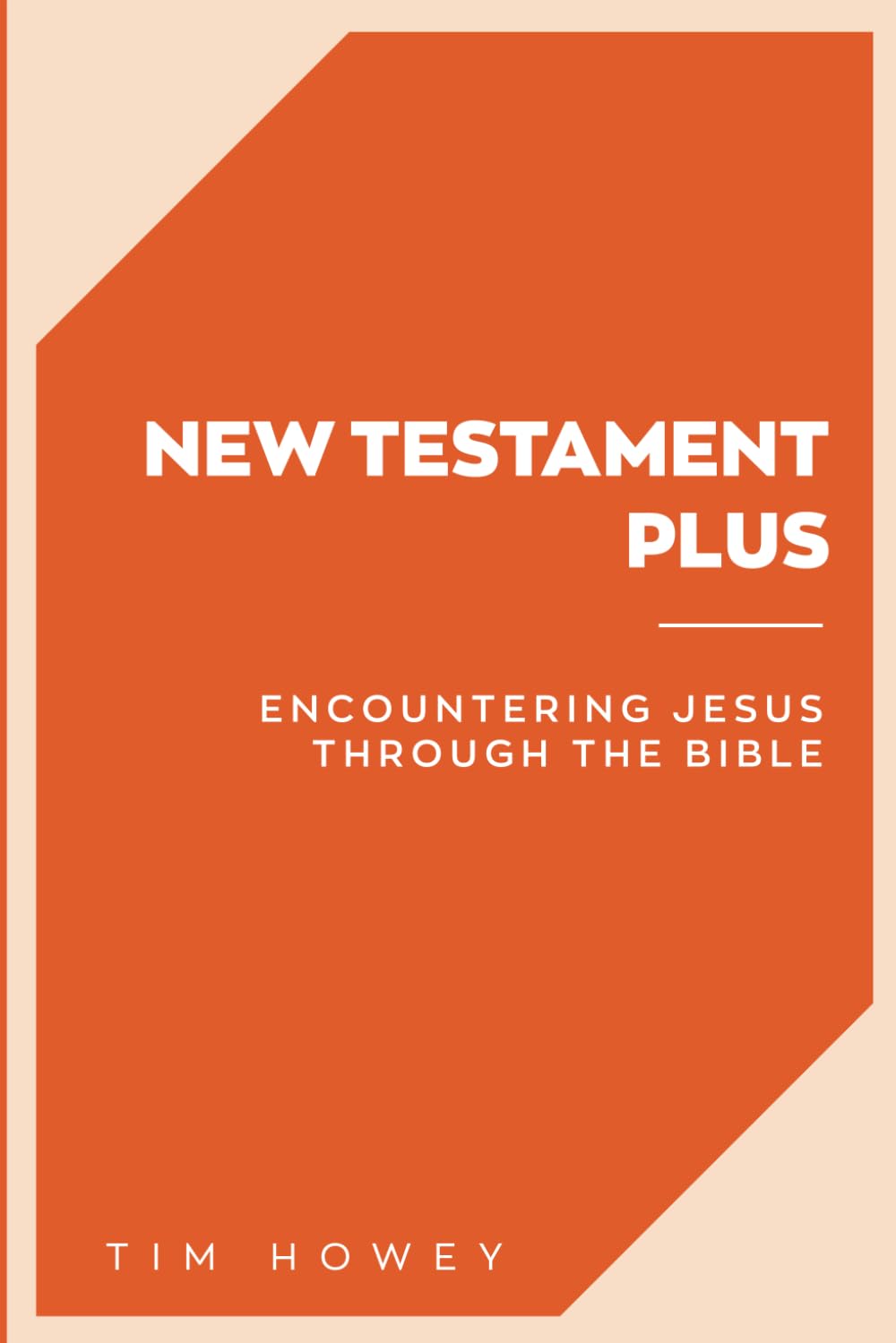 New Testament Plus: Encountering Jesus Through the Bible