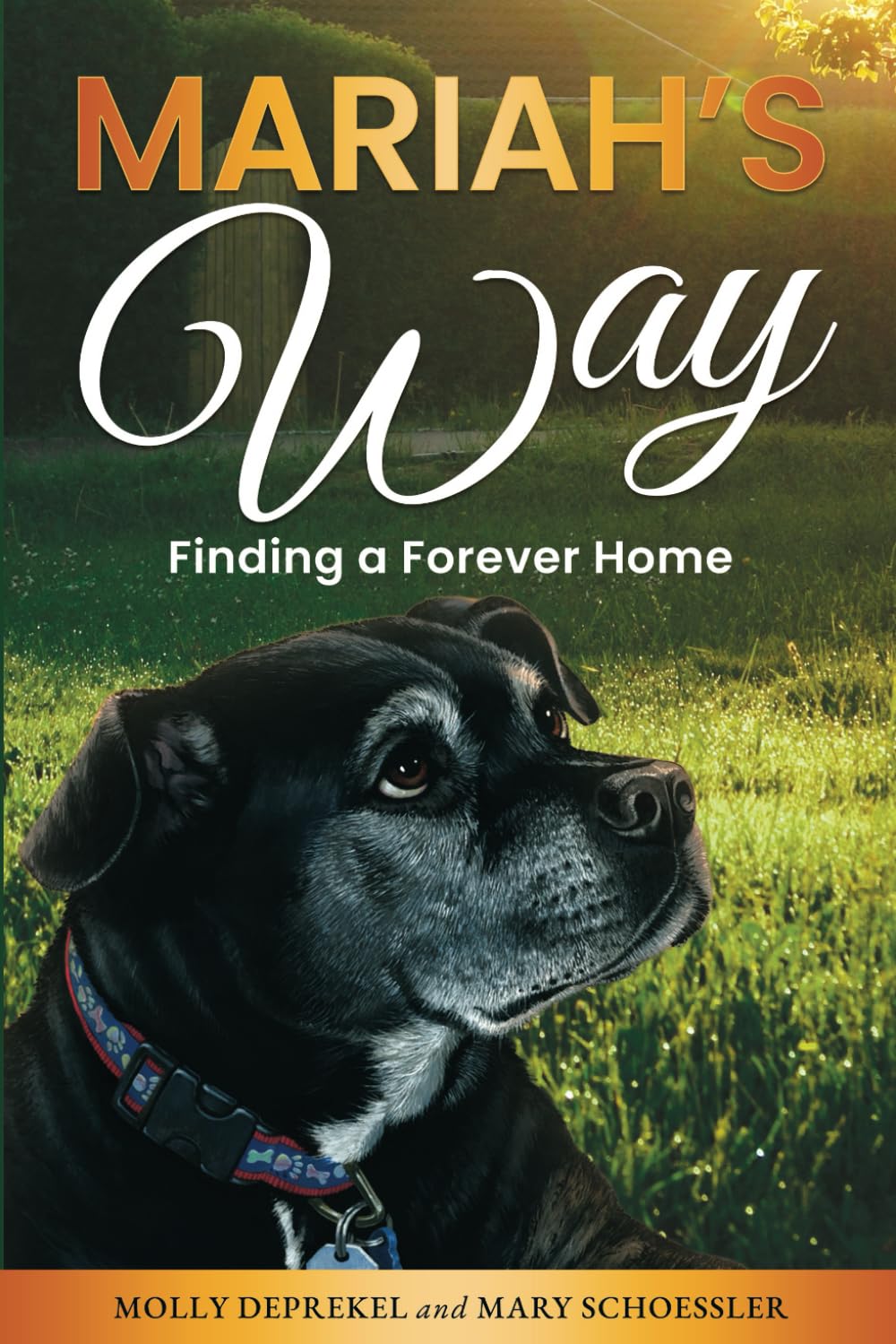 Mariah's Way: Finding A Forever Home
