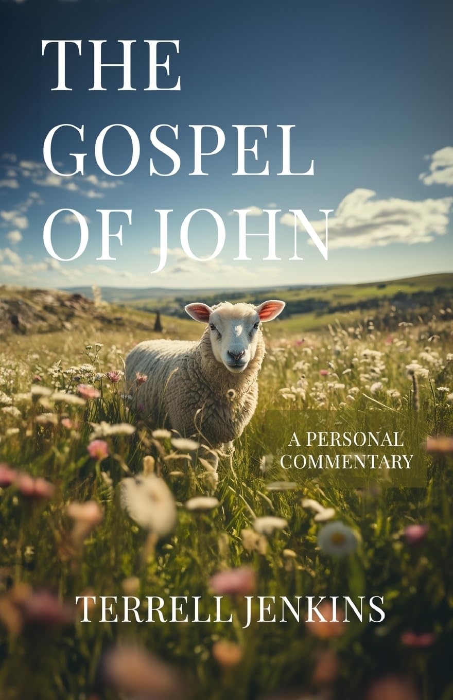 The Gospel of John: A Personal Commentary