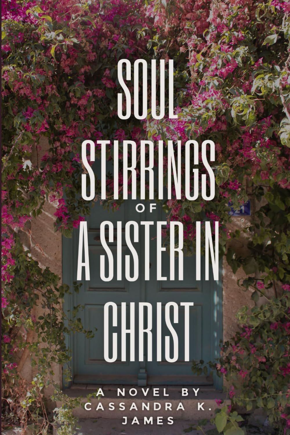 Soul Stir-lings of a Sister in Christ: Sister in Christ
