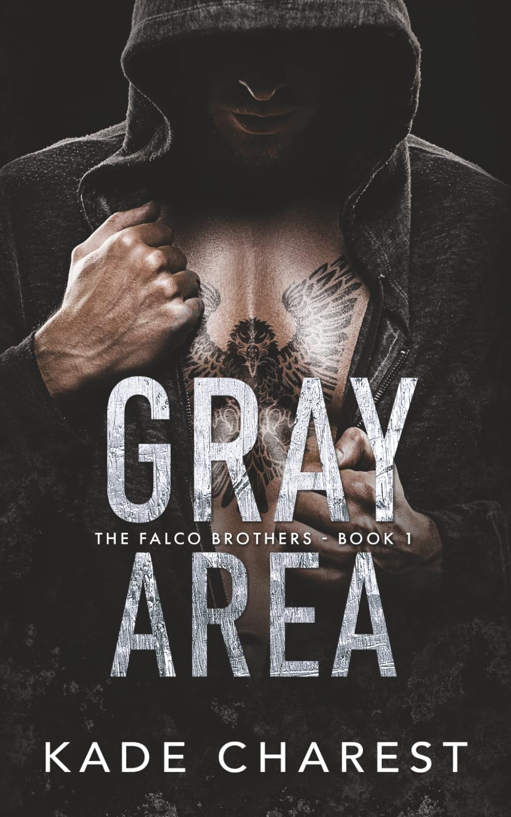 Gray Area: The Falco Brothers Book 1