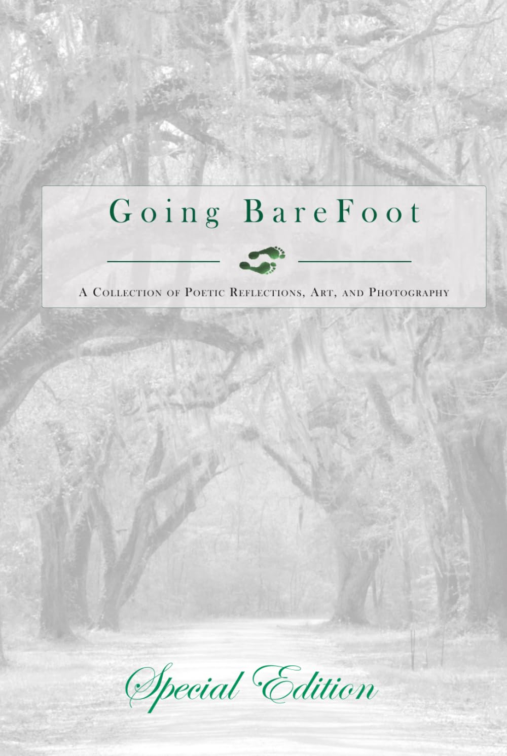 Going BareFoot: A Journey of Healing Through Words, Art, and Photography