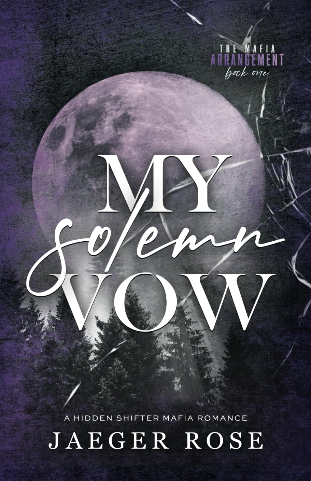 My Solemn Vow: A Hidden Wolf Shifter Romance (The Mafia Arrangement - Discreet Covers) - 8628