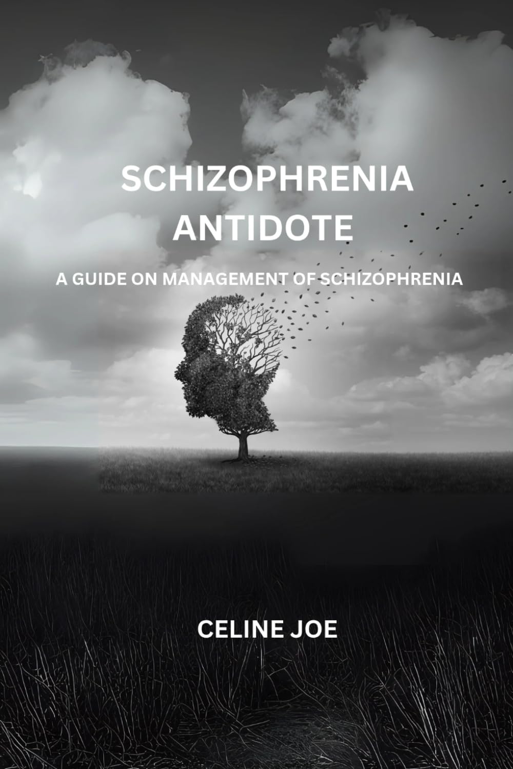 Schizophrenia Antidote: A Guide On Management Of Schizophrenia - 4486